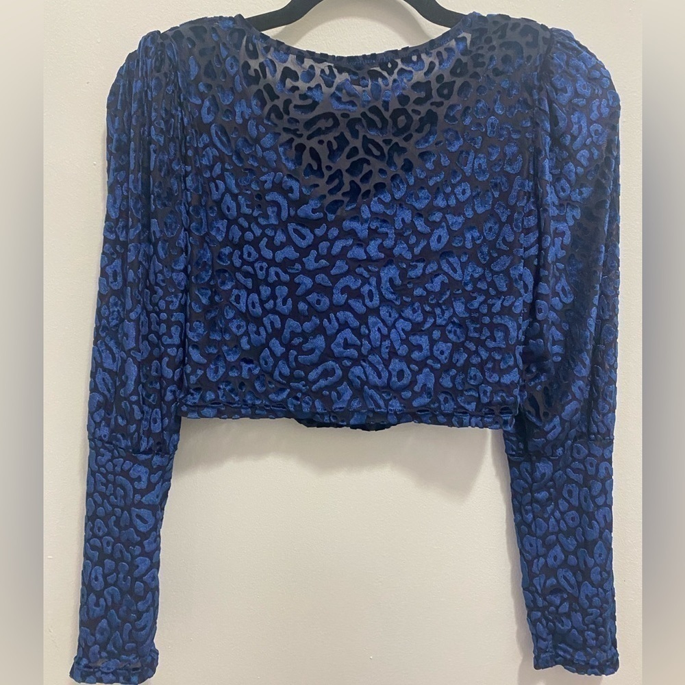 Fashion Nova Crop Burnout Velvet Longsleeve Top - Picture 2 of 4